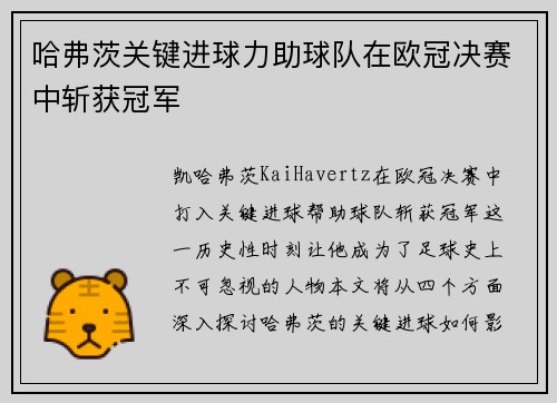 哈弗茨关键进球力助球队在欧冠决赛中斩获冠军